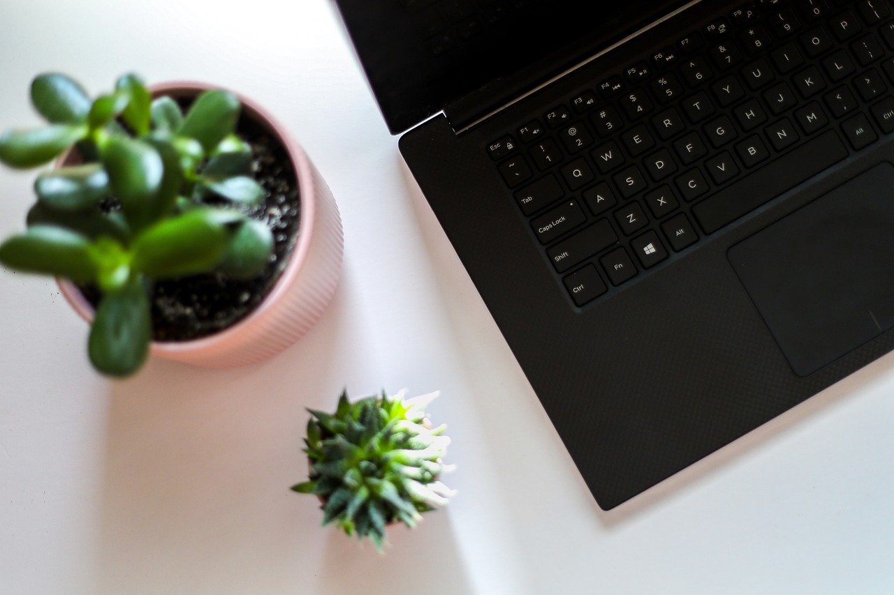 S počítačem dokonale neumím.