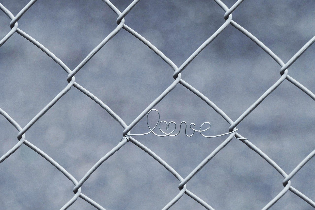 betonové ploty